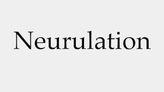 How to Pronounce Neurulation [upl. by Noraj]