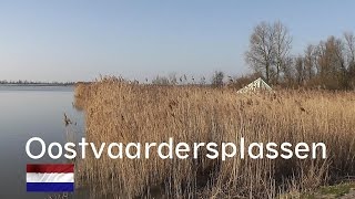 NETHERLANDS Oostvaardersplassen nature reserve [upl. by Klemens]