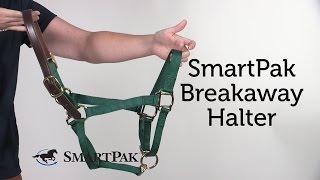 SmartPak Breakaway Halter Review [upl. by Heddie]