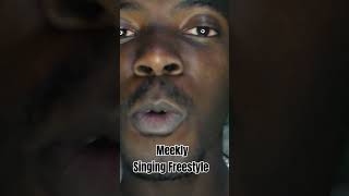 Meekly SingingFreestyle Meekly Meeklysinging Singing Freestyle Mzansi TrendingMzansivideo RnB [upl. by Ruenhs]