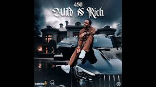 450  Wild N Rich Official Audio [upl. by Dino]