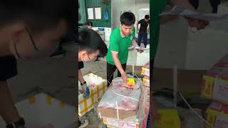 BẮP HOA ALLANA food thucphamnhapkhau tuphuong [upl. by Imit]