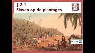 Mavo 2  H2 • § 21 Slaven op de plantages [upl. by Borroff]