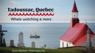 Whale watching in Tadoussac Quebec [upl. by Hola]