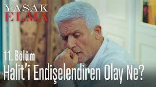 Haliti endişelendiren olay ne  Yasak Elma 11 Bölüm [upl. by Ariajaj197]