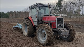 ⛔ Ferdek gubi komin  😱 Mokre Gruberowanie 2024 ☆ Massey Ferguson 3120 amp Mandam KUS 🔥 [upl. by Acinorev]