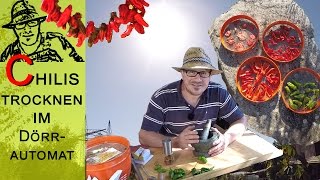 Chilis und Tomaten trocknen im Dörrgerät [upl. by Quenna]