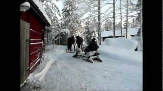 snöplogning med nordsvenska hästar [upl. by Cykana347]