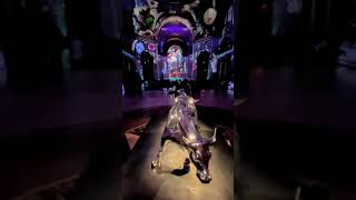 SuperReal immersive digital art and projection mapping spectacle at Cipriani New York City 2021 [upl. by Eirojam]