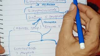 Hexose Monophosphate Shunt and its Biomedical importance [upl. by Llien]