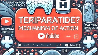 【Teriparatide】 PTH analog Pharmacology Forteo® Mechanism of Action Simply Explained [upl. by Anrapa]