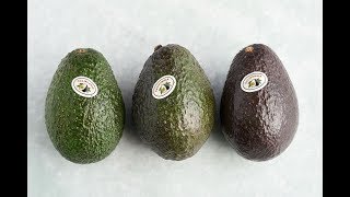 How to Pick and Ripen an Avocado with Manuel Villacorta [upl. by Rodolphe]