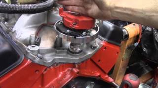 How to Install A distributor in a 350 Chevy [upl. by Woodring]