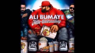 Ali Bumaye feat Shindy amp Bushido  Same Shit Different Day [upl. by Galanti]