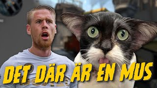 Katten Jansson har aldrig sett mus  CSGO med Pontus Jansson mARLEY amp Tylle FUNNY MOMENTS [upl. by Neroc]