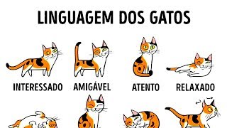 COMO ENTENDER MELHOR O SEU GATO [upl. by Lerrad]