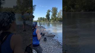 Fish on Wild Pink Salmon Run Fishing Puyallup River 2023 washington nature [upl. by Bea377]