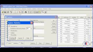 07  Estimate the Population Mean from the Sample Mean in SPSS 115 [upl. by Airdni323]