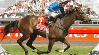 Tribute to Makybe Diva [upl. by Pero296]