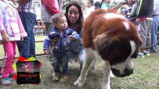 Expo Canina en la Fenahuap 2016 [upl. by Beller]