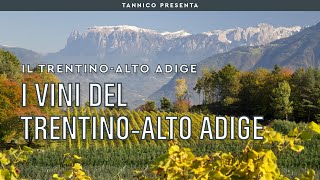 I vini del TrentinoAlto Adige  Tannico Flying School [upl. by Eiramenna15]