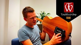 TONEWOODAMP DEMO amp BREAKDOWN [upl. by Hoi]