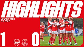 HIGHLIGHTS  Arsenal vs Everton 10  WSL  Miedema with a wonder goal [upl. by Allard]