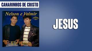 Canarinhos de Cristo  Glória  DVD 25 Anos de Louvor [upl. by Boeschen]