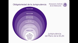 🔴 Semanario Judicial de la Federación I Obligatoriedad de la Jurisprudencia [upl. by Notle]