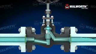 API 602 Globe Valve [upl. by Aicenad]