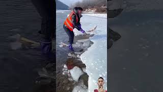 catching fish under the snow fish fishing shorts [upl. by Aerdnaxela586]