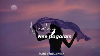 Tamil Whatsapp Status  Love Songs New  Love Whatsapp Status Tamil  female version status tamil [upl. by Errehs276]