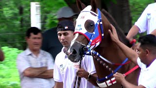 Classificatórias  GP HARAS PRIMAVERA 2022  Espetacular Corrida de Cavalos [upl. by Borroff]