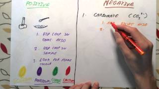 Tests for Positive and Negative Ions  GCSE Chemistry [upl. by Nitaf]