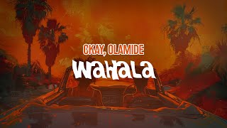 CKay Olamide  Wahala Lyric Video [upl. by Bartholemy908]