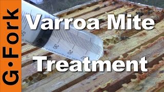 Varroa Mite Oxalic Acid Treatment  Beekeeping 101  GardenFork [upl. by Aihsei]