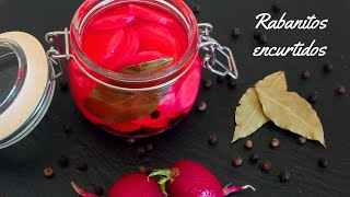 Rabanitos Encurtidos 👉Receta Saludable Económica y muy Fácil👈 [upl. by Aneehsor]