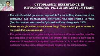 TY BSC Lecture 20 Chapter 6 Cytoplasmic Inheritance Mt [upl. by Armil651]