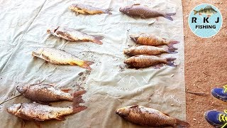 Campaspe Carp Catch at Strathallan carp fishing competition [upl. by Jelle]