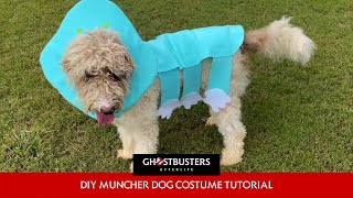 GHOSTBUSTERS AFTERLIFE – Muncher Halloween Dog Costume [upl. by Shawnee]