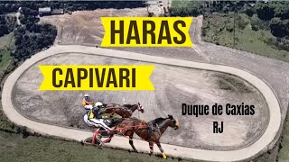 HARAS CAPIVARI Duque de Caxias RJ [upl. by Htebaras]