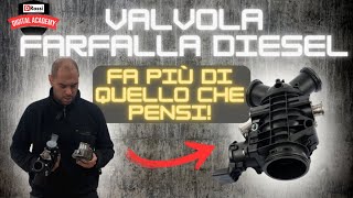 LA FARFALLA NEL MOTORE DIESEL COME FUNZIONA A CHE SERVE  E I SUOI PROBLEMI [upl. by Lyudmila]