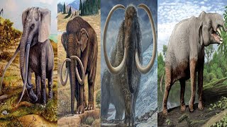 Prehistoric Elephants [upl. by Tybald]