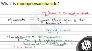 What is mucopolysaccharide [upl. by Ylahtan]