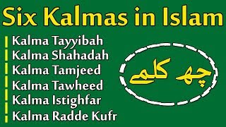 Six Kalimas In Islam  6 Kalmas For Kids  Kids Learning Islam Islamic kalemas [upl. by Atiuqet]