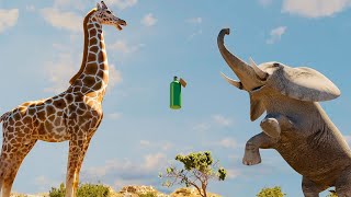 Elephant vs Giraffe Water Bottle Fight [upl. by Golding]