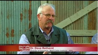 DocTalk Show 111 Preconditioning Beef Calves [upl. by Eityak]