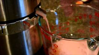 Jack LaLannes Power Juicer Pro  Part 2 [upl. by Corell959]