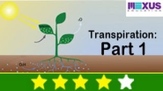 Science Experiments  Learn About Transpiration Part I [upl. by Spracklen]