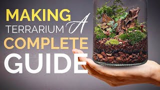 How to make a terrarium A complete guide [upl. by Kristian]